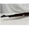 Image 7 : Remington Nylon 66 .22 LR