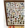 Image 2 : Framed Pin Collection