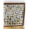 Image 3 : Framed Pin Collection