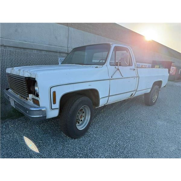 CHEV PICKUP 1973 T-DON-TMU