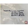 Image 3 : Coin Capsules (55) : 19mm Pennies (10) &  21mm Nickels (20) & 24mm Quarters (25) (EMPTY)