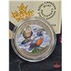 Image 2 : RCM 2014 Twenty Five Cent : Harlequin Duck (Colored Coin) (COA #9171)
