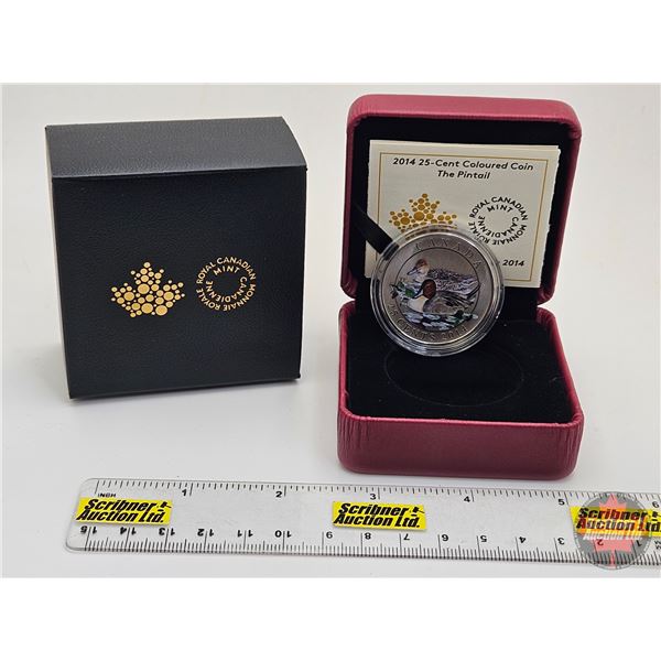 RCM 2014 Twenty Five Cent : Ducks of Canada : The Pintail (Coloured Coin) (COA #5959)