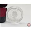 Image 3 : RCM Canada 2002 Vimy Ridge Five Cent Proof Silver Coin (COA #03720) (92.5%) (SEE PICTURES!)   (Listi