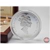 Image 5 : RCM Canada 2003 Natural Wonders : Niagara Falls : $20 Silver Coin (COA #10609) (99.99%) (SEE PICTURE