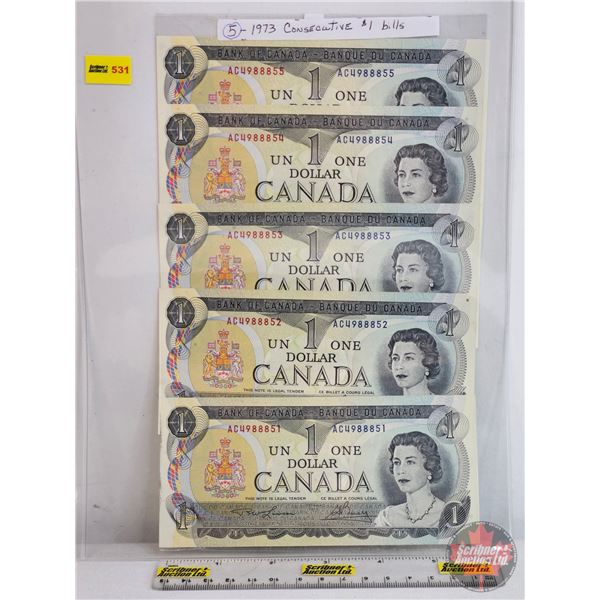 Canada $1 Bills 1973 (5 Consecutive) : Lawson/Bouey #AC4988851-52-53-54-55 (See Pictures for Varieti