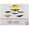 Image 1 : Transportation Pins (6): Wings (United, Junior Stewardess, Bluebird Bus, etc!)