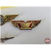 Image 3 : Transportation Pins (6): Wings (United, Junior Stewardess, Bluebird Bus, etc!)