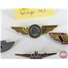 Image 5 : Transportation Pins (6): Wings (United, Junior Stewardess, Bluebird Bus, etc!)