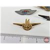 Image 6 : Transportation Pins (6): Wings (United, Junior Stewardess, Bluebird Bus, etc!)