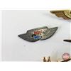 Image 7 : Transportation Pins (6): Wings (United, Junior Stewardess, Bluebird Bus, etc!)