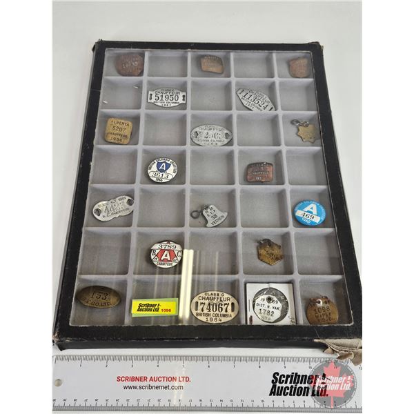 Collector Combo : Chauffer's Badges ; Pins; Tags (19) with Display Box / Glass Lid (Must See Picture