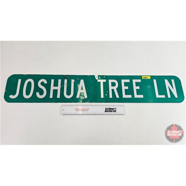 Double Sided Aluminum Street Sign : JOSHUA TREE LN (6" x 36")