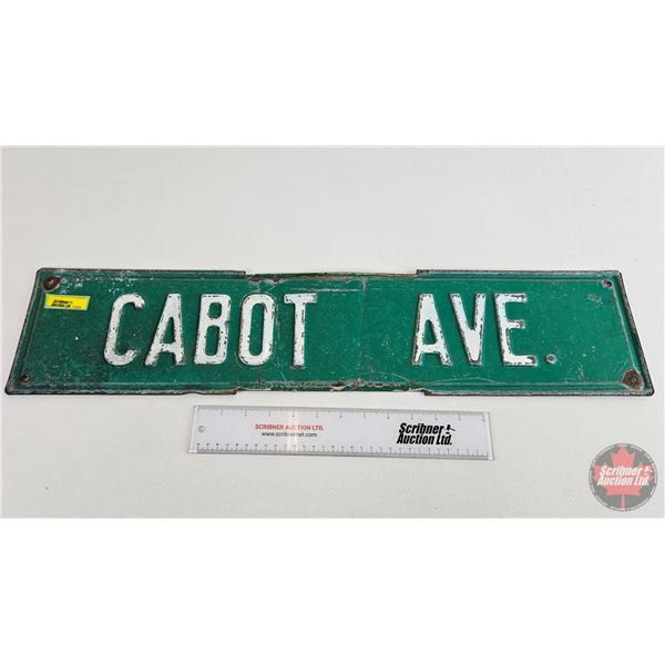 Single Sided Street Sign (Steel) : CABOT AVE (6" x 27-1/4")