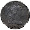 Image 2 : 1794 S-67 R-3 NGC VF Details (Environmental Damage)