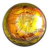 Image 1 : 1999 Silver Eagle Toned