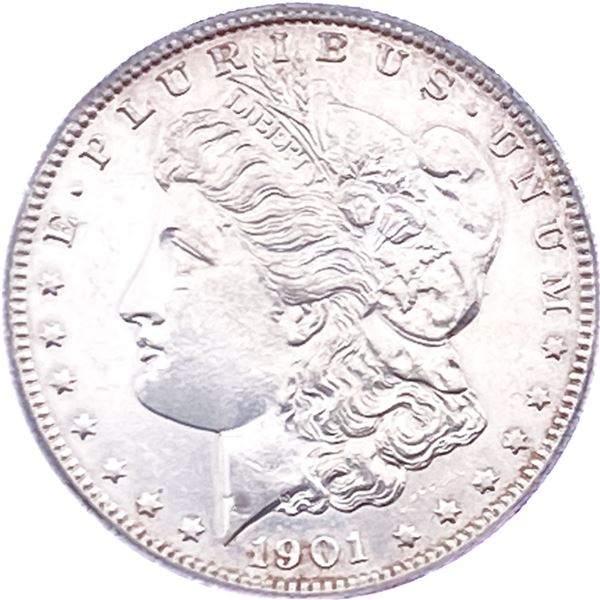 1901 Morgan Silver Dollar