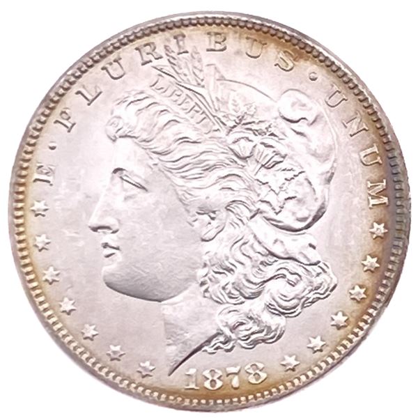 1878 Morgan Silver Dollar
