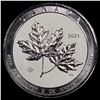 Image 2 : 2021 Silver 2 oz Canadian Maple Leaf $10 SUPERB GEM BU