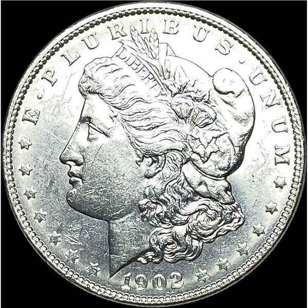 1902 Morgan Silver Dollar CHOICE AU