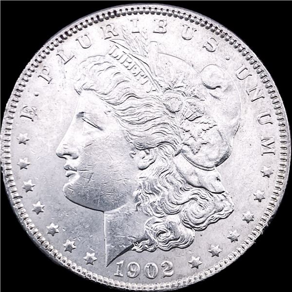 1902 Morgan Silver Dollar CHOICE AU