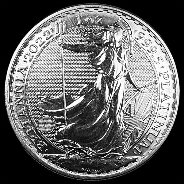 2022 Platinum 1 oz Britannia Â£100 SUPERB GEM BU
