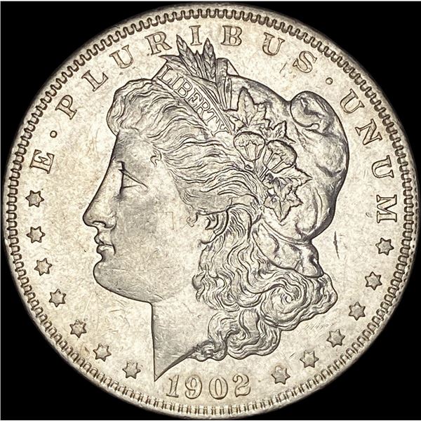 1902 Morgan Silver Dollar CHOICE AU