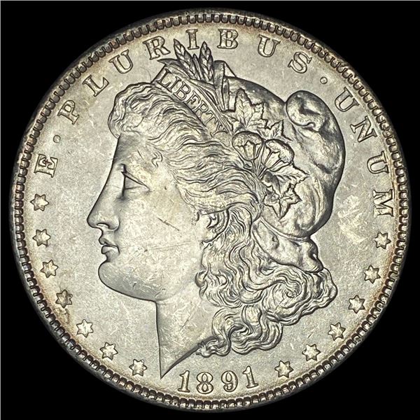 1891 Morgan Silver Dollar CHOICE BU