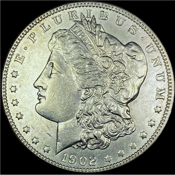 1902 Morgan Silver Dollar CHOICE AU
