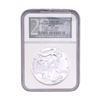 Image 1 : 1997 Silver Eagle NGC MS69