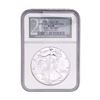 Image 1 : 1991 Silver Eagle NGC MS69