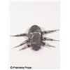 Image 2 : Resident Evil Afterlife Hero Scarab Movie Props