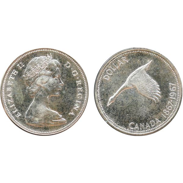 1967 $1 "Diving Goose" Uncirculated or better.  Popular and sought-after variety.  Expect spirited b