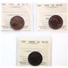 Image 1 : 1890H 1¢, 1902, 1916.  Lot of 3 coins ICCS Choice About Uncirculated-55 to Choice About Uncirculated