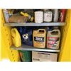 Image 4 : Justrite Sure-Grip Flammable Safety Cabinet w/ Contents: Antifreeze, Paint, etc