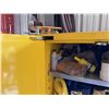 Image 9 : Justrite Sure-Grip Flammable Safety Cabinet w/ Contents: Antifreeze, Paint, etc