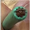 Image 4 : Spool Graybar 3203 Green Wire