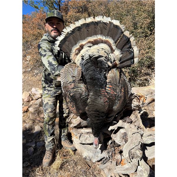 Gould's Turkey Hunt