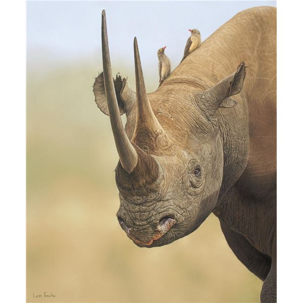 "Black Rhino" Original Artwork by Leon Fouche