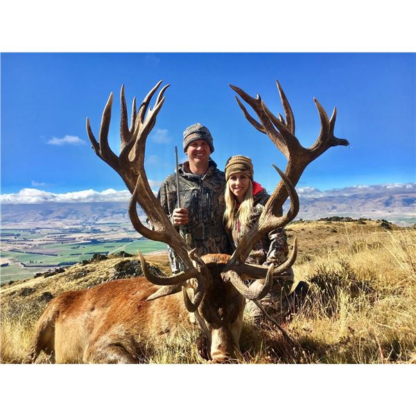 New Zealand Red Stag Hunt with Exclusive Adventures