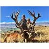 Image 1 : New Zealand Red Stag Hunt with Exclusive Adventures