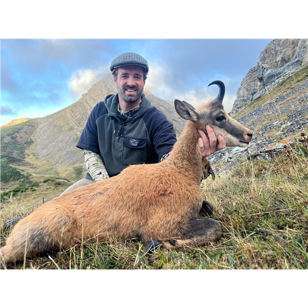 Cantabrian Chamois Hunt in Northern Spain