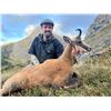 Image 1 : Cantabrian Chamois Hunt in Northern Spain