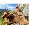 Image 2 : Cantabrian Chamois Hunt in Northern Spain