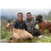 Image 3 : Cantabrian Chamois Hunt in Northern Spain