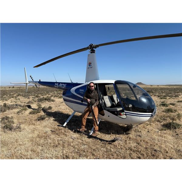 Springbok Management Hunt