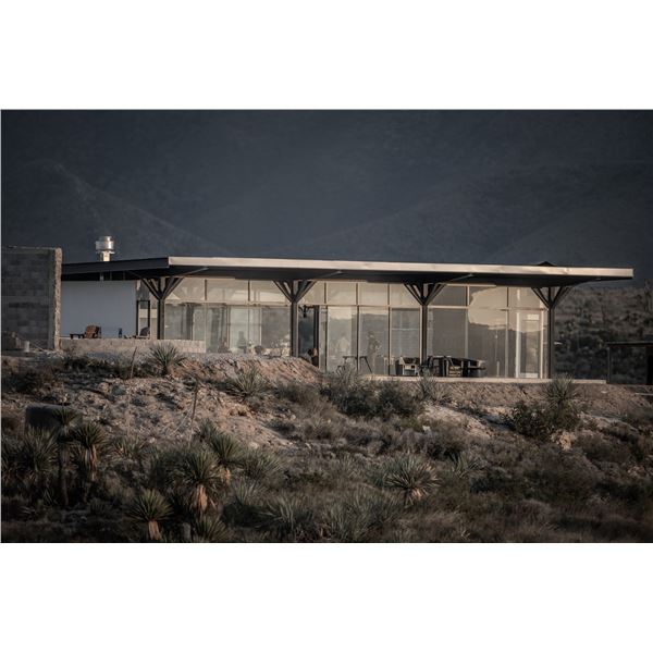 Terra La Vid Desert Mule Deer