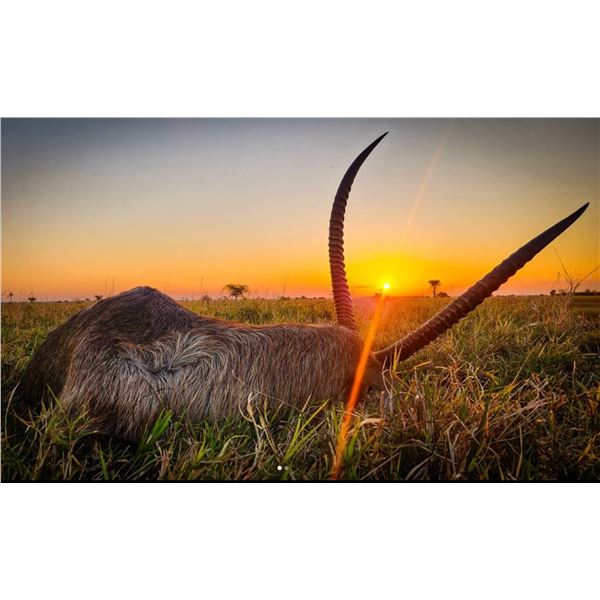 Zambeze Delta Safaris | Mozambique 10-Night Plains Game Safari for 1 Hunter + 1 Observer