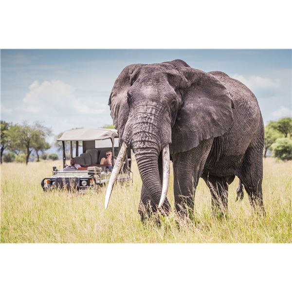 Northern Tanzania Connected Adventure with Chem Chem Safaris