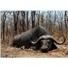 Image 1 : Niassa 10-Day Exportable Buffalo & Plains Game Hunt